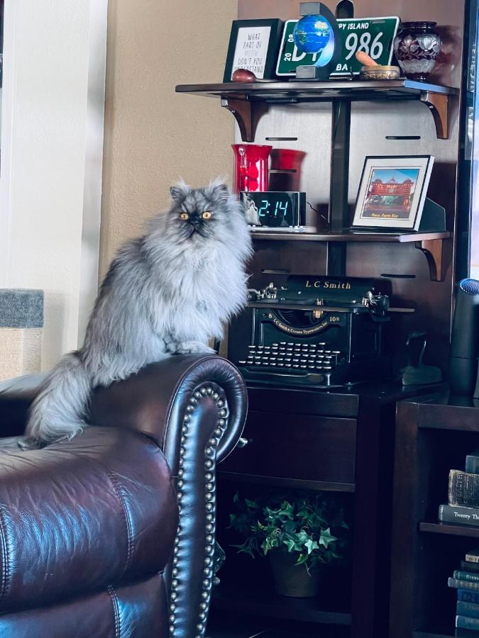 Ruskin Fl Private 2 Bdrm 1 Bath Suite Common Areas Shared With Host And Cat Zewnętrze zdjęcie