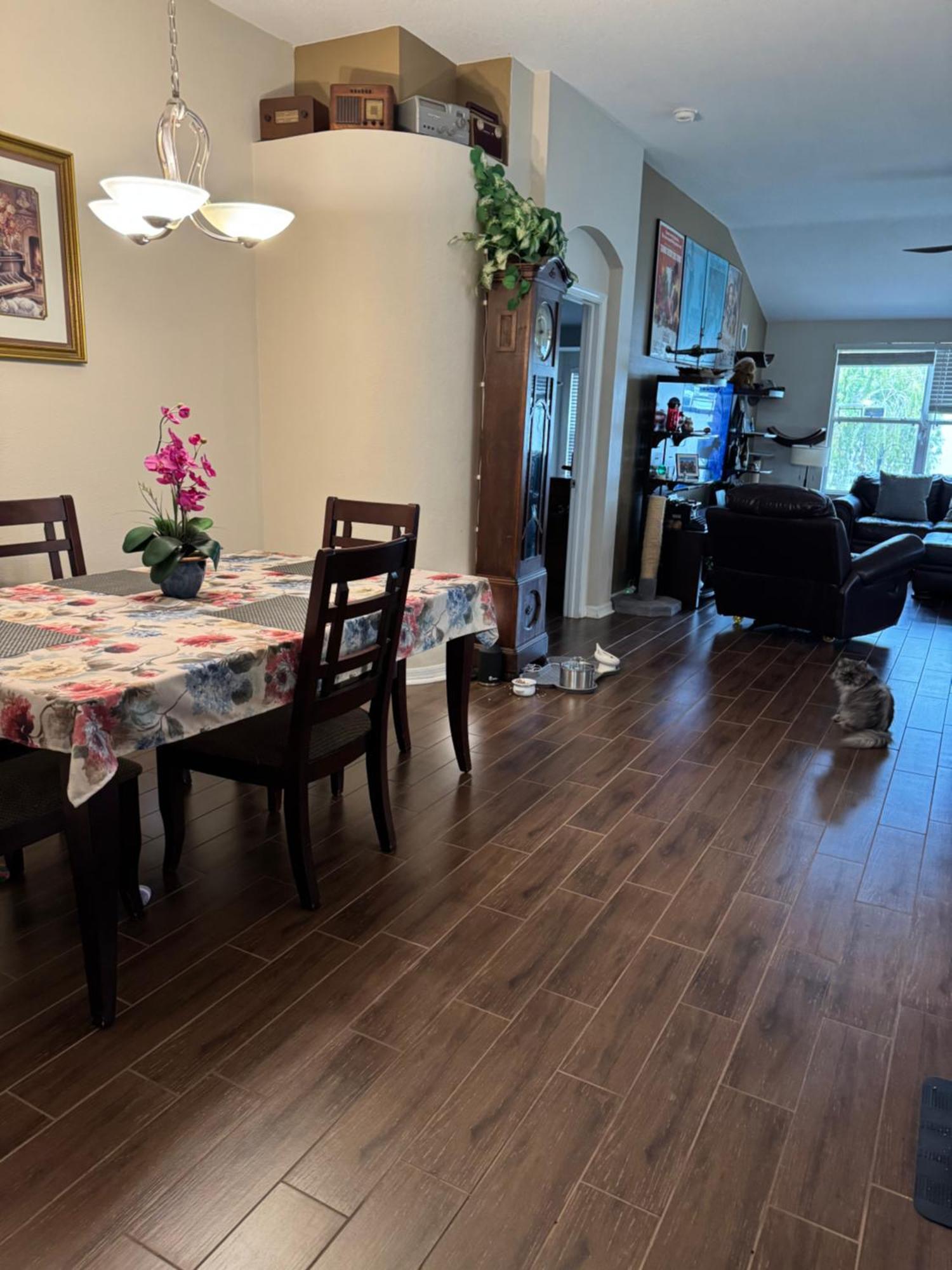 Ruskin Fl Private 2 Bdrm 1 Bath Suite Common Areas Shared With Host And Cat Zewnętrze zdjęcie